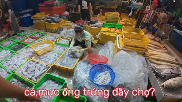 Chợ bình điền,ống trứng nhiều mùa ốc hương sò lông rẻ