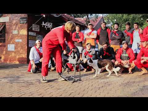 Video: Nuwe "Parys Van Die Ooste"