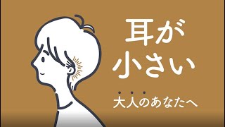 【HOSSO(ホッソ)大人のほそい綿棒 200本】商品紹介