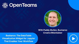 Buckaroo: The DataTable Visualization Widget for Jupyter That Enables Your Workflow