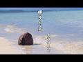 東海林太郎 ー 椰子の実