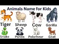 Animals Name for kids | Animals Name in English | ABC Animals | Baby Animals | Amazing Animals |