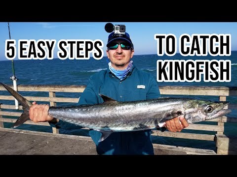 Como travar Kingfish - de um cais
