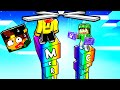HO BARATO NELLA PAROLA PIÙ CORTA VINCE su MINECRAFT!