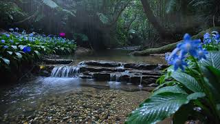Gentle Piano Music with River Ambience | Healing Music for Mind, Body & Soul