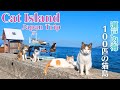 More Cats Than People on a Cat Island in Japan — About 100 Cats🐈🐈 | Sanagi Island | 猫島 / 佐柳島