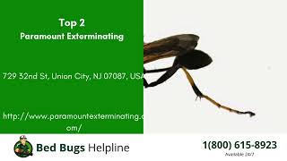 Top 3 Bed Bug Removal Companies in Midvale