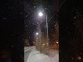 Снегопад. #снегопад #снег #якутск #якутия #ноябрь #фонарь #дорога #осень #snow #yakutia