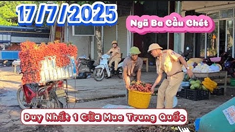 TẦU CÒN MUA THÌ CÒN VẢI THIỀU GIÁ CAO I NÚI ĐỒI LỤC NGẠN