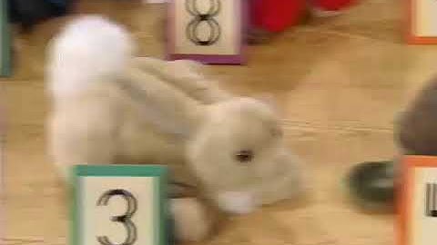 Making New Friends (2000 Version) Part 2