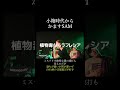 小箱時代からかますSAM