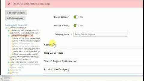 Magento 2 : URL key For Specified Store Already Exists [Solution COMPLETE] - with instruction
