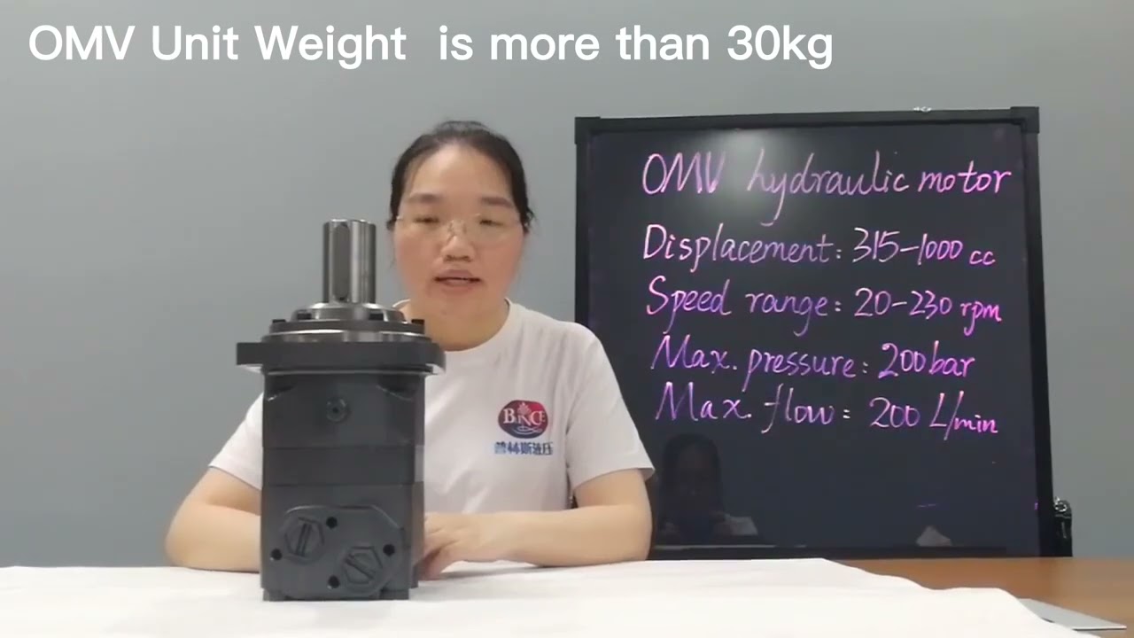 Blince hydraulics----orbital hydraulic motor OMV series ,replace danfoss ,white ,eaton , brivini