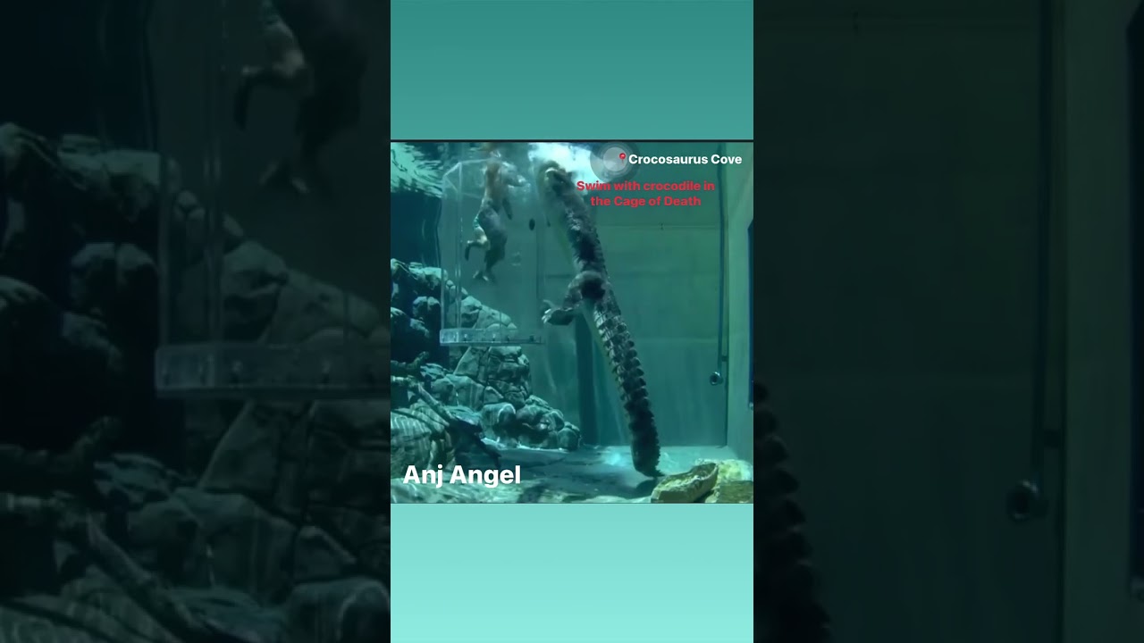 Crocosaurus Cove in Darwin Australia 