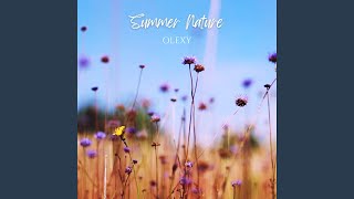 Summer Nature