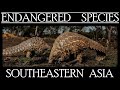 Endangered Species in Southeastern Asia