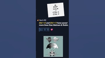 🤔🤞Facts that only Programmers know 🔥🔥🔥🤔🤟