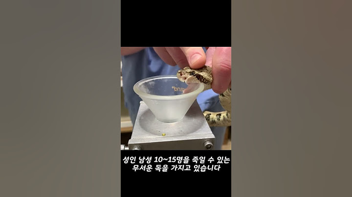 방울소리를 내는 뱀을 만나면?(절대 건드리지 마세요)