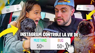 Instagram contrôle la vie de mes chiens ????