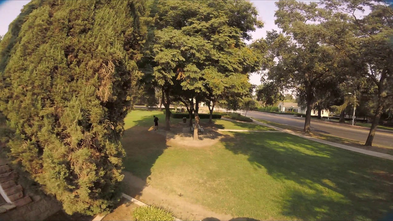 6s freestyle = efficiency