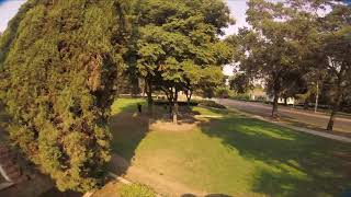 6S Freestyle Efficiency