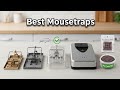 TOP 5 Best Mousetraps 2026 | best glue traps