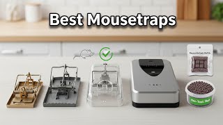 Famous TOP 5 Best Mousetraps 2026 | best glue traps Net Worth