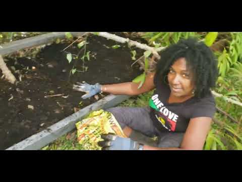 Step by Step - Cleaning out and refreshing your veggie bed soil to plant new seeds and transplants