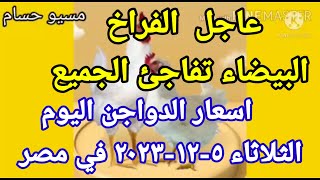 اسعار الفراخ البيضاء اليوم اسعار الدواجن اليوم الثلاثاء ٥-١٢-٢٠٢٣ في مصر