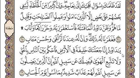 سورة ص كاملة مكتوبة سعد الغامدي بدون اعلانات