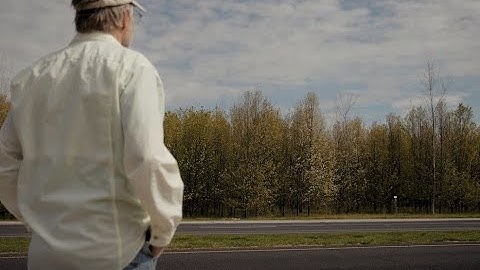 The Bradford Pear Problem