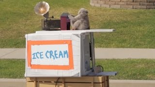 Aaron's Animals - Ice Cream Truck