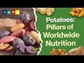 Potatoes - A Miracle Of Nutrition?