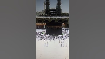 القارئ احمد عيسى المعصراوي #