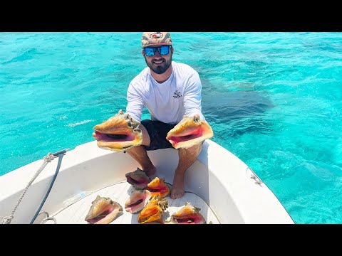 Diving For CONCH In The Cayman Islands {Catch Clean Cook} Conch Ceviche