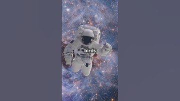 Proof gravity is not real 😳 #shorts  #space #universe #facts