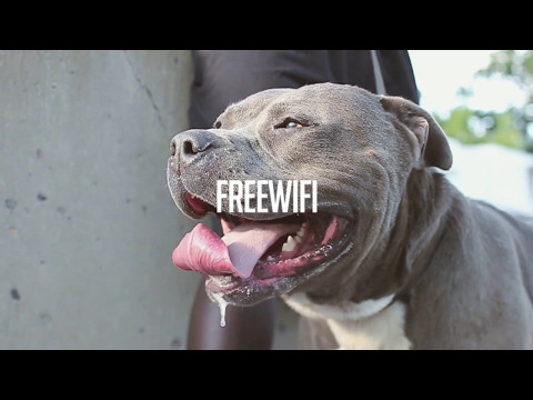 FREEWIFI - EGO (Official Music Video)