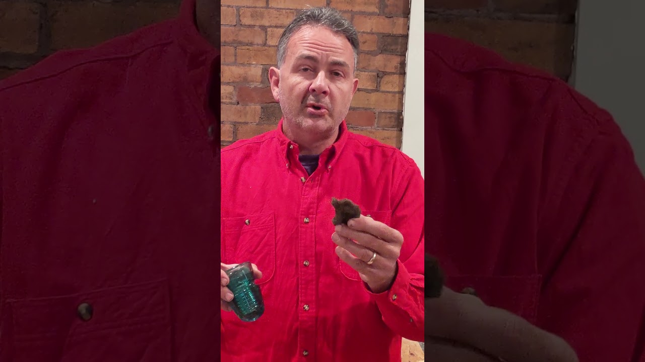 Cleaning Glass Insulators