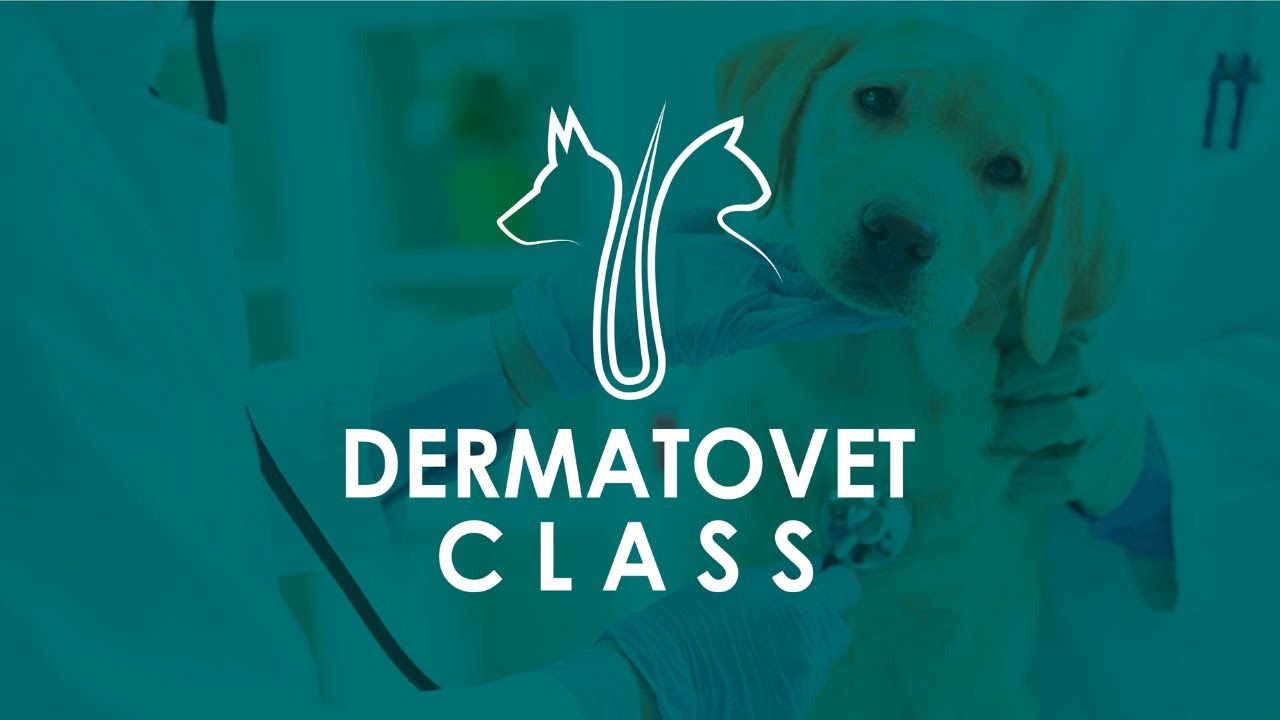 Aula 142 [AOVIVO] - Falha na Condução Terapêutica na DAC