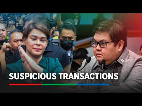 VP Sara had 34 'suspicious transactions' from 2007-2025: AMLC
