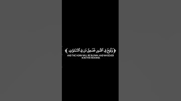 كروما شاشة سوداء قرآن كريم