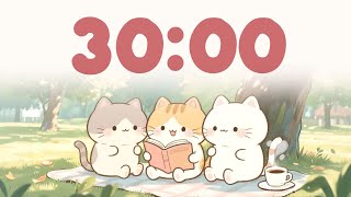 30 Minute Timer classroom 🎵 Focus study timer music