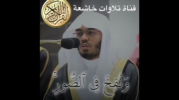 #الشيخ ياسر الدوسري #القرآن_الكريم #تلاوة_خاشعة #تلاوات_العرب