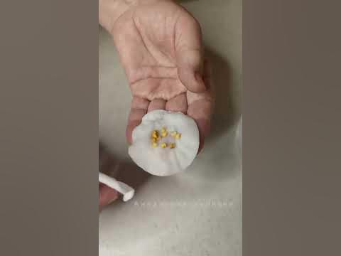 Дешевое средство для стимулирования семян и роста крепкой рассады👍 ...