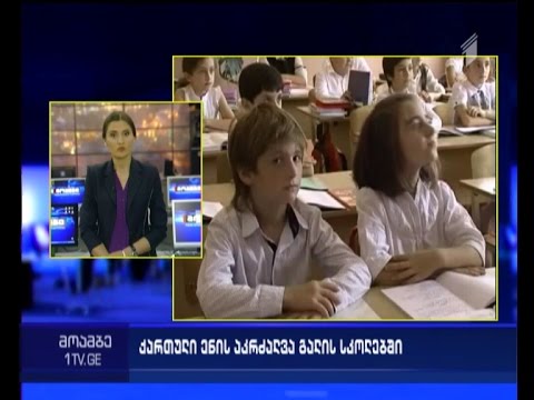 გალის რაიონის სოფლებში ქართული სახელმძღვანელოები იკრძალება