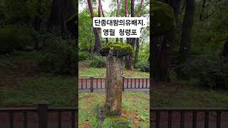 #청령포.단종대왕 유배지.영