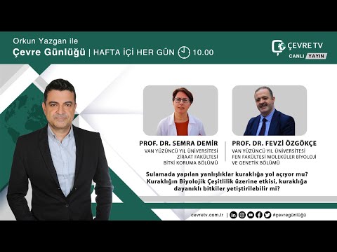 Video: Gölet Çevresinde Tam Güneşli Bitkiler Yetiştirme: Bir Gölet Tam Güneş Altında Olabilir mi