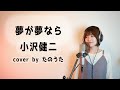 夢が夢なら / 小沢健二 cover by たのうた