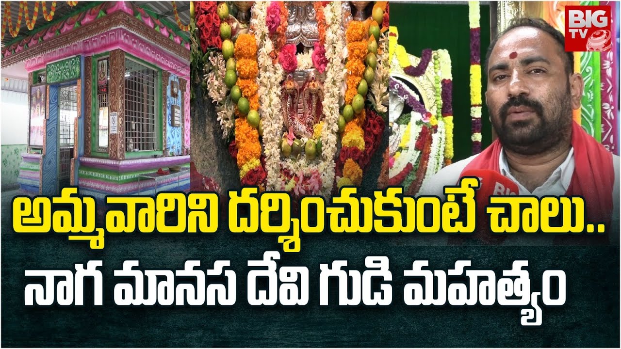 Naga Manasa Devi Temple | Vizianagaram : ఇక్కడ అమ్మవారిని దర్శించుకుంటే చాలు.. నాగ మానస దేవి గుడి |
