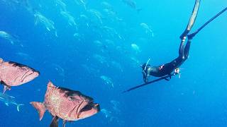 The Most AMAZING Thing Happened! Spearfishing Adventures Just Got UPGRADED!